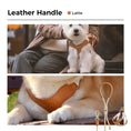 Load image into Gallery viewer, #OOTD Pet Harness and Leash Set
