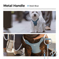 Load image into Gallery viewer, #OOTD Pet Harness and Leash Set
